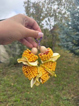 Погризушка дари осені🌽 233 фото