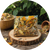 Мішанки