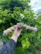 Місток - 1шт 121 фото 4